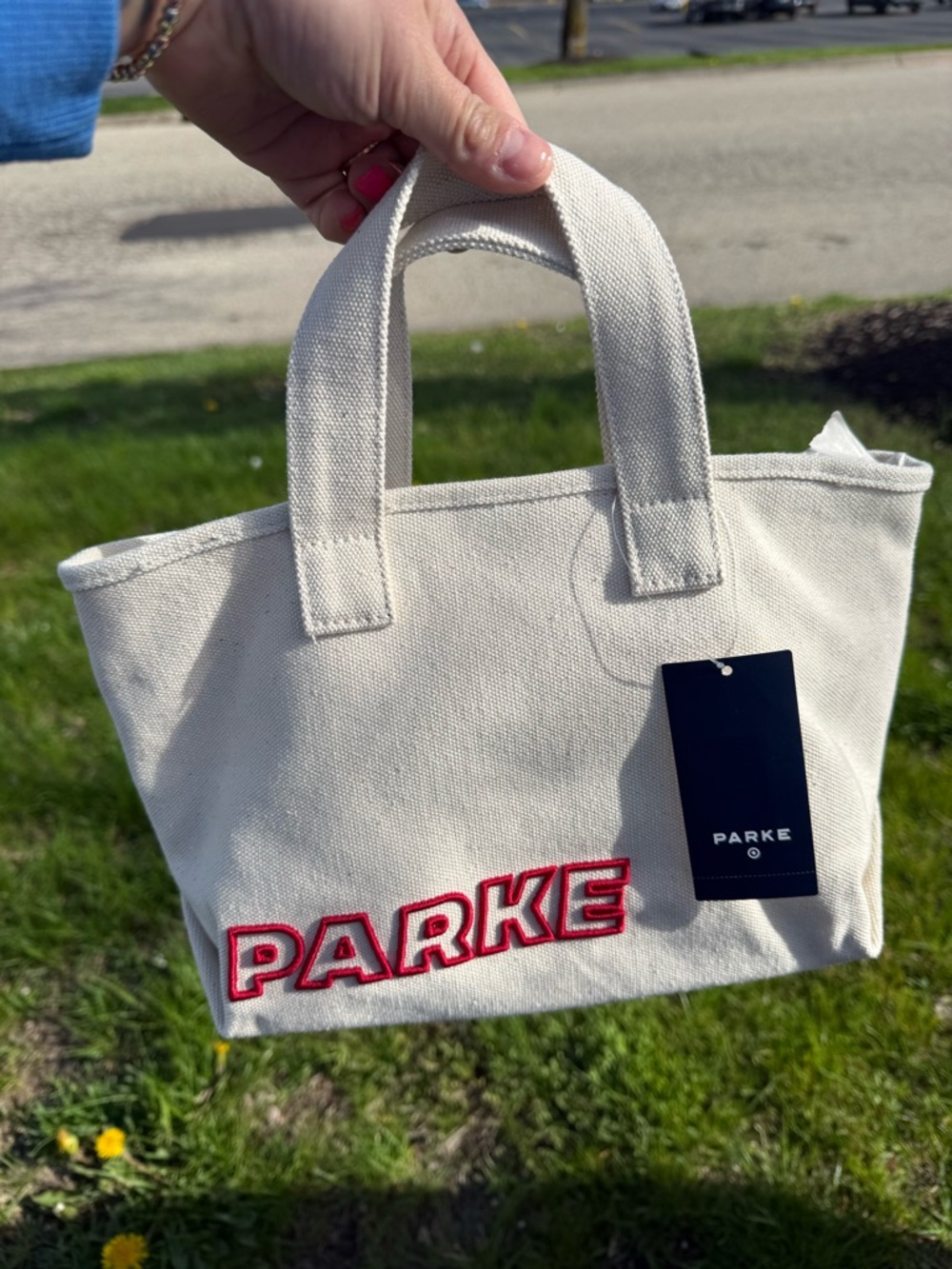 Parke mini tote